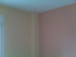 Dormitorio Pintura Biege y Salmon Oscuro (3)