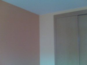 Dormitorio Pintura Biege y Salmon Oscuro (5)