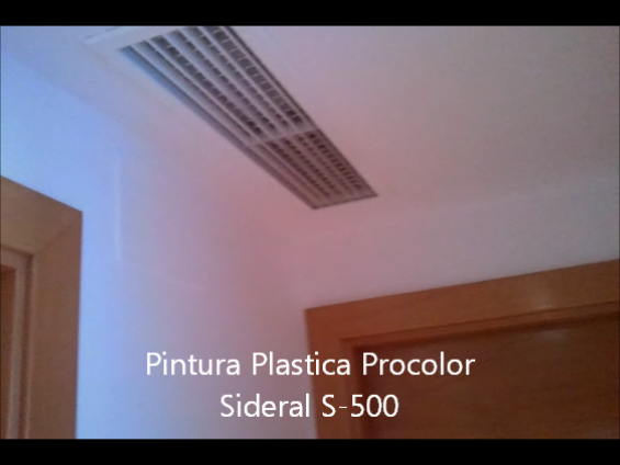 Pintura Plastica Procolor Sideral S-500 10