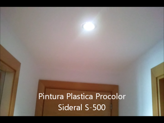 Pintura Plastica Procolor Sideral S-500 11