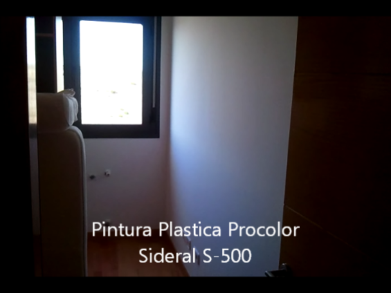 Pintura Plastica Procolor Sideral S-500 13