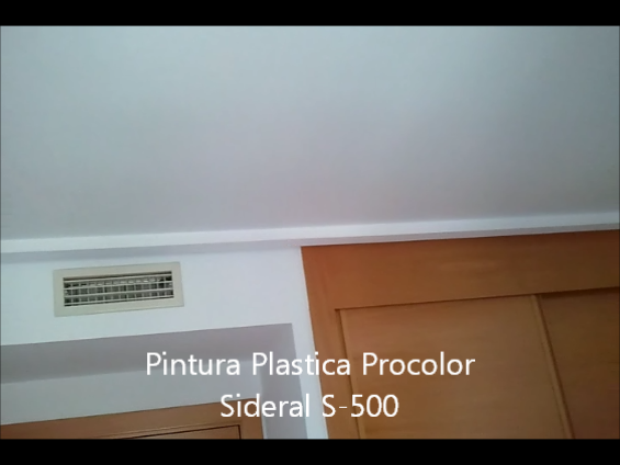 Pintura Plastica Procolor Sideral S-500 16