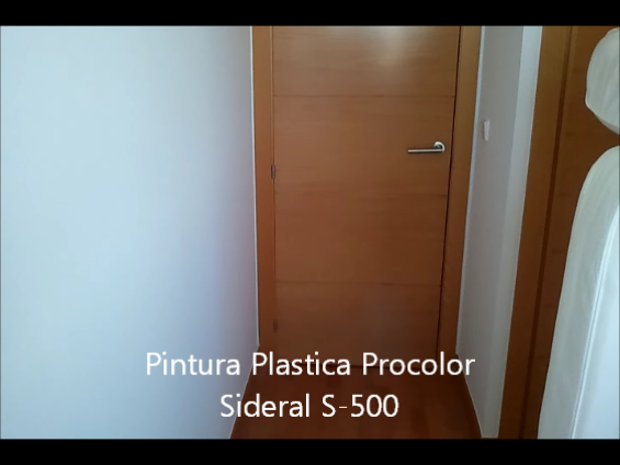 Pintura Plastica Procolor Sideral S-500 17