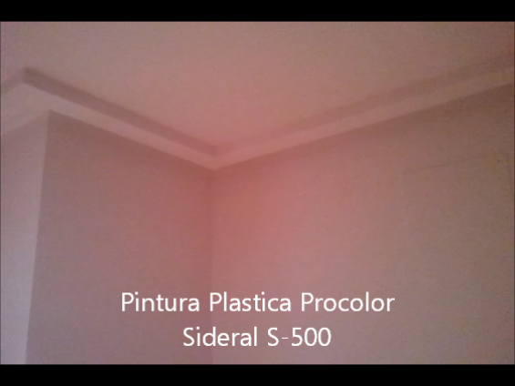 Pintura Plastica Procolor Sideral S-500 2