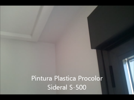 Pintura Plastica Procolor Sideral S-500 20
