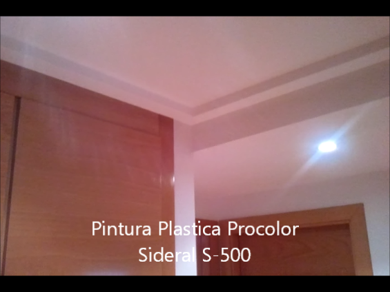 Pintura Plastica Procolor Sideral S-500 4