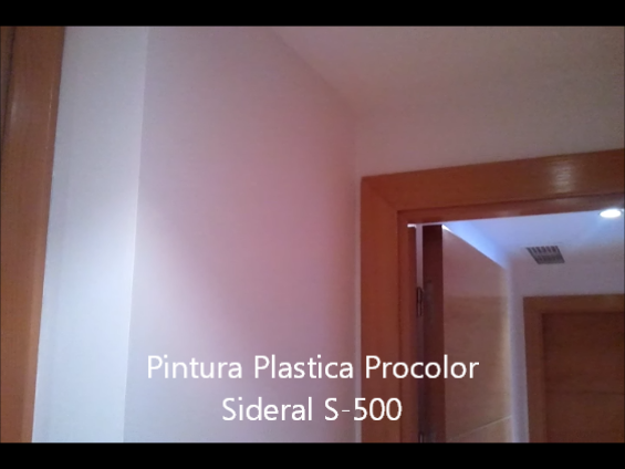 Pintura Plastica Procolor Sideral S-500 6