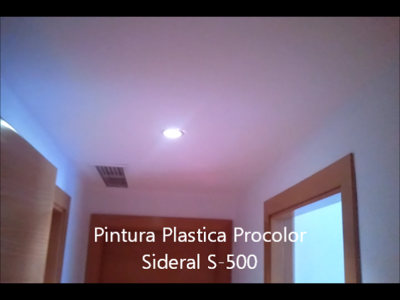 Pintura Plastica Procolor Sideral S-500 7