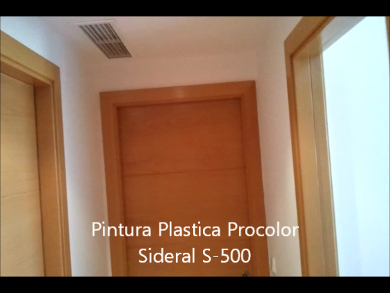 Pintura Plastica Procolor Sideral S-500 9