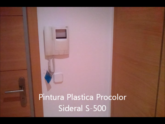 Pintura Plastica Procolor Sideral S-500